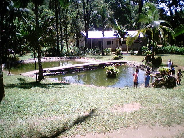 Imagem 16 de 18  -  143 kB